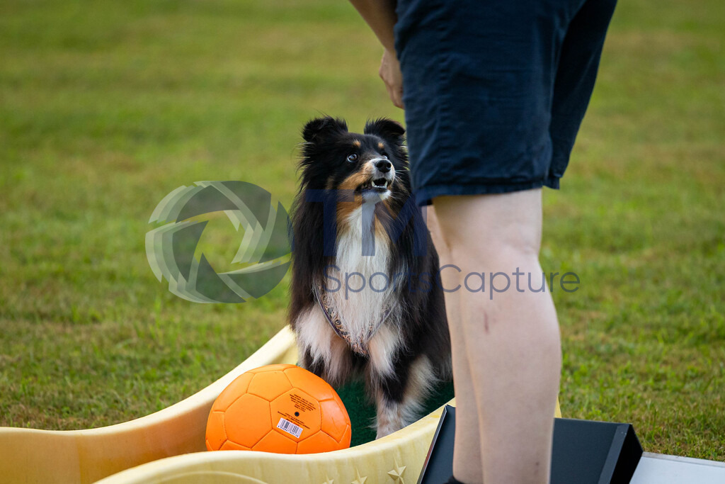 TP-20240815-0039 | Copyright: Trainproduction / Matthias Trinkl