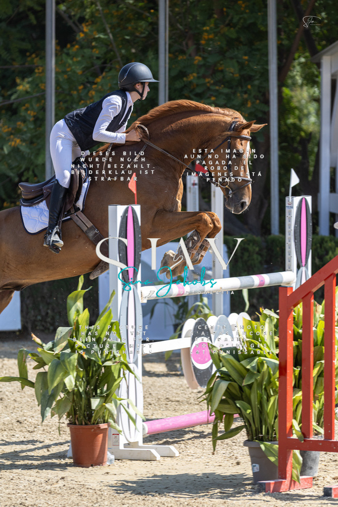 IMG_8567 | s-jay-photography - Realisiert mit Pictrs.com