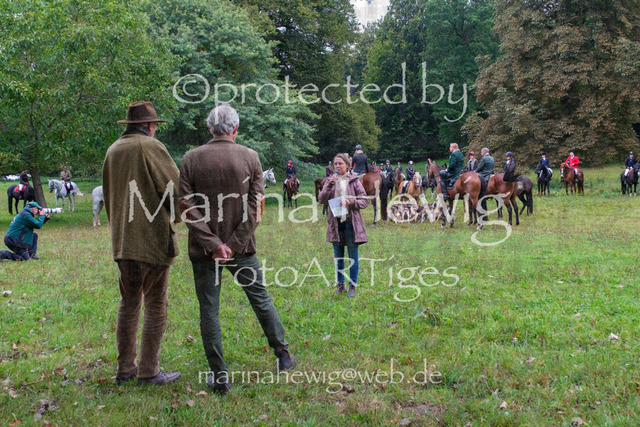 Jagd Perdoel_MarinaHewigDSCF3447 | Fotografie, FotoArt, PferdesportArt, Pferdesportfotografie, Landschaftsfotografie, Reisefotografie, Reise, Pferde - Realisiert mit Pictrs.com