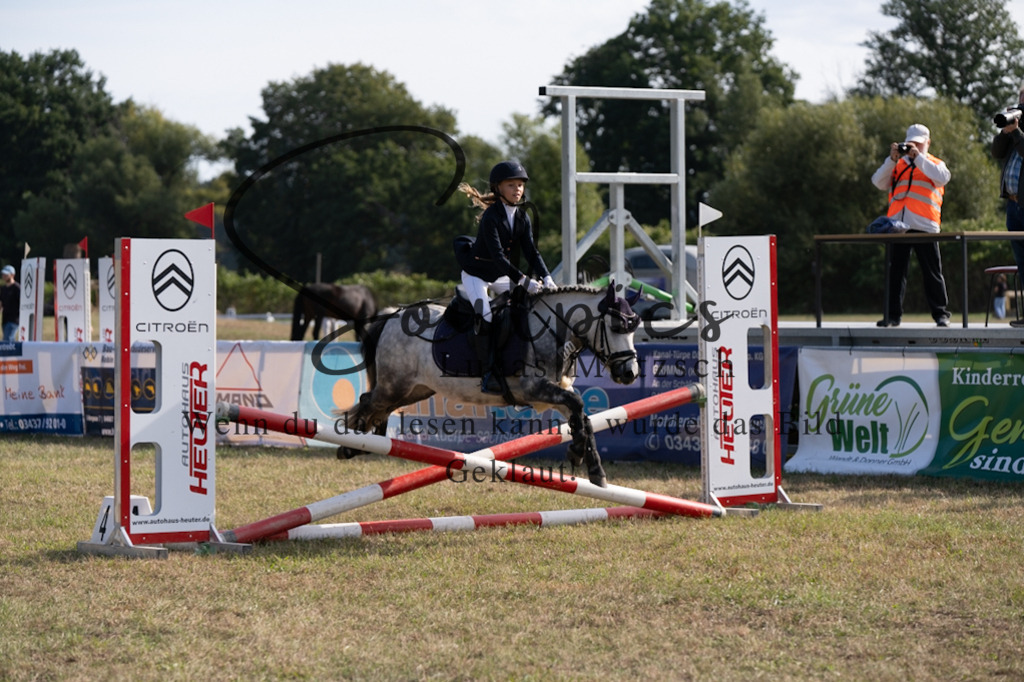 A7V08338 | Pferdefotograf