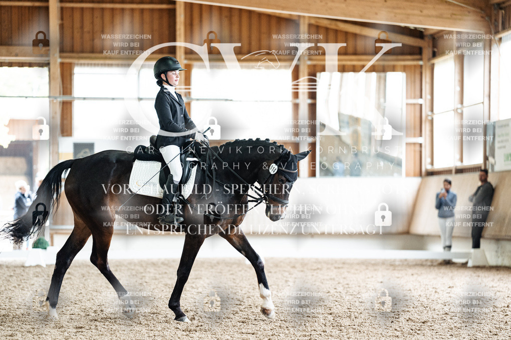 CK901320 | Turnierfotografie Pferdefotografie Trier Rheinland-Pfalz Pferdesport Reitsport Tierfotografie Sportfotografie Pferdevideo Pferdevideografie Equestrianvideography equestrianphotography  - Realisiert mit Pictrs.com