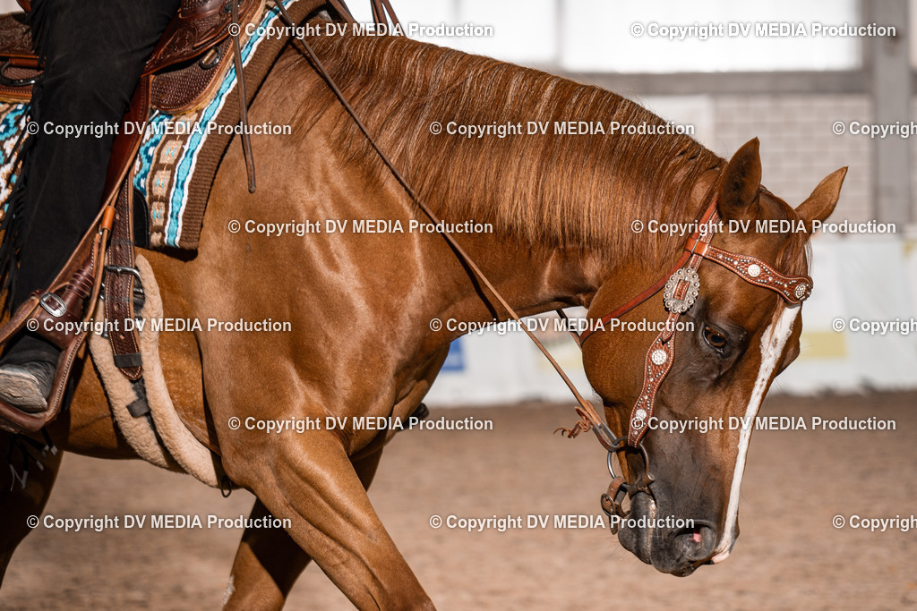 ZH100014 | dv-media-shop - Realisiert mit Pictrs.com