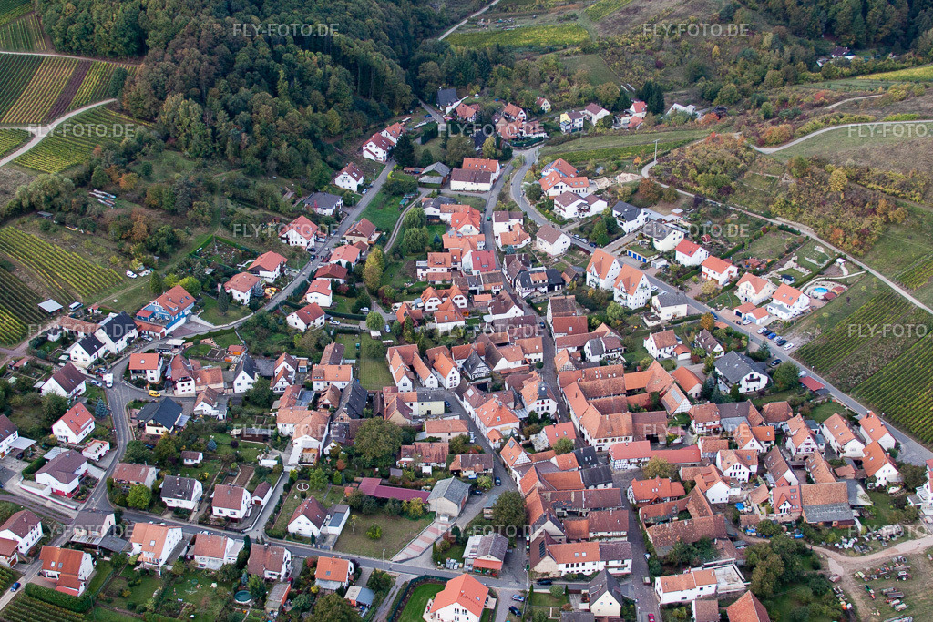 Dorfansicht | Luftbild: Dorfansicht im Ortsteil Gleishorbach in Gleiszellen-Gleishorbach im Bundesland Rheinland-Pfalz in Deutschland. Foto: IMG_22403.jpg vom 15.10.2009 durch Werner Riehm/FLY-FOTO.de - Realisiert mit Pictrs.com