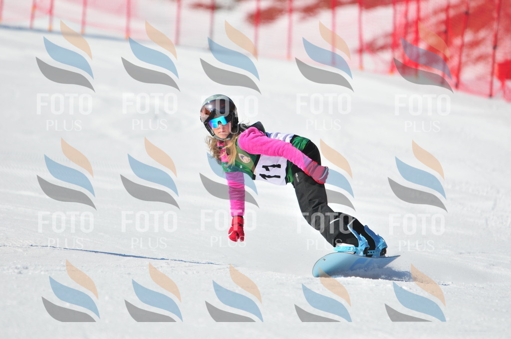 C2415 | holidayphoto