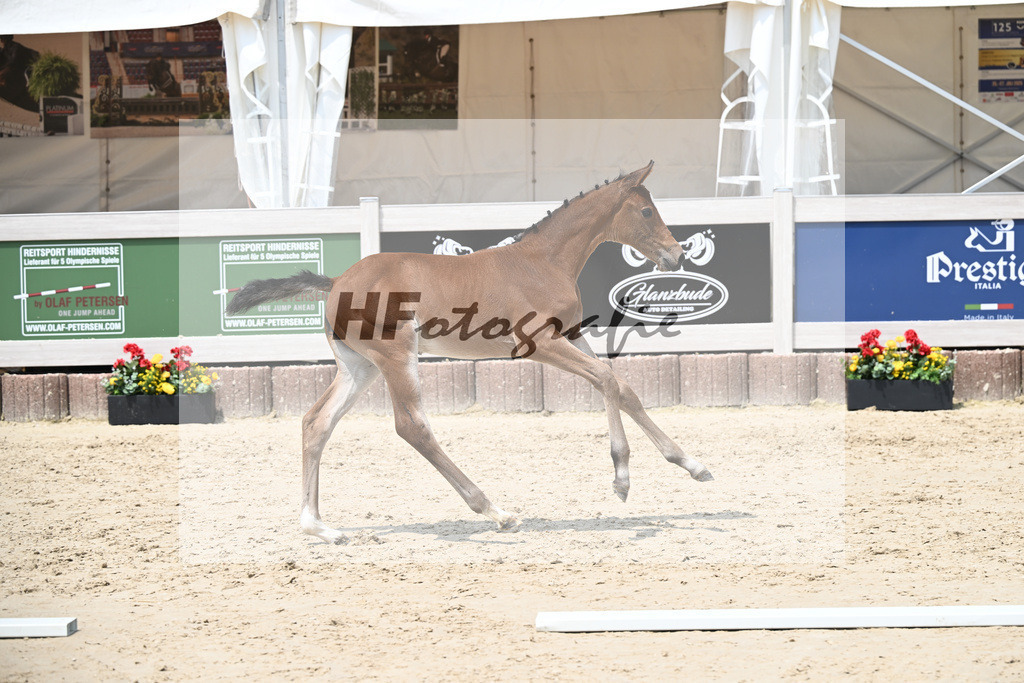 Cardento x Heartbreaker_SF_Wagner_12250879 | hf-fotografie - Realisiert mit Pictrs.com