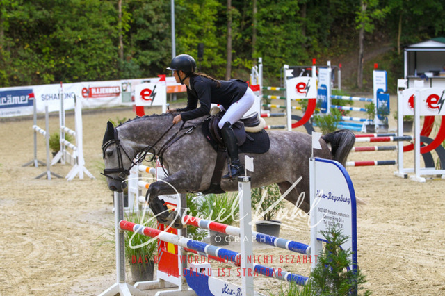 DKP40463 | Turniersportfotografie; Pferdefotografie; Dressurfotografie