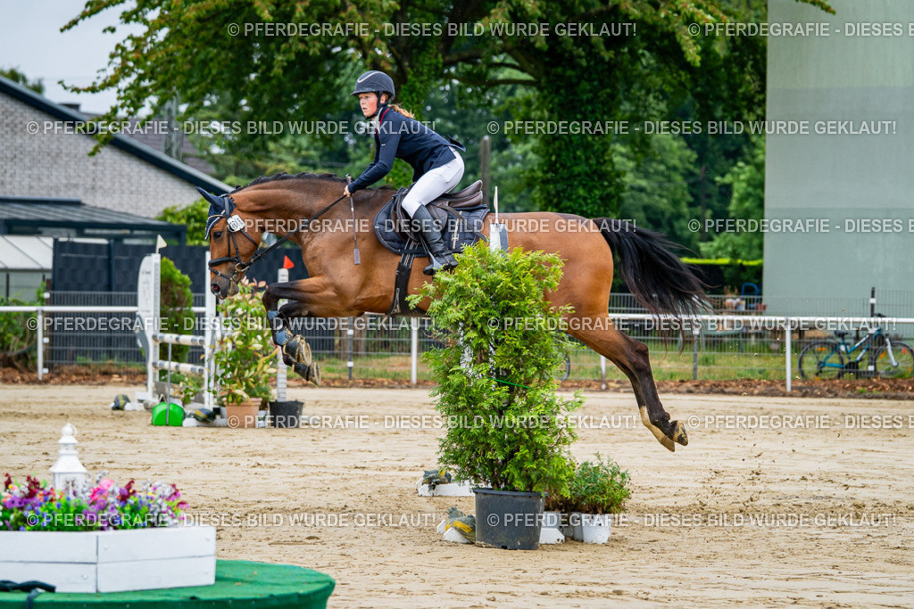 DSC02640 | Pferdegrafie