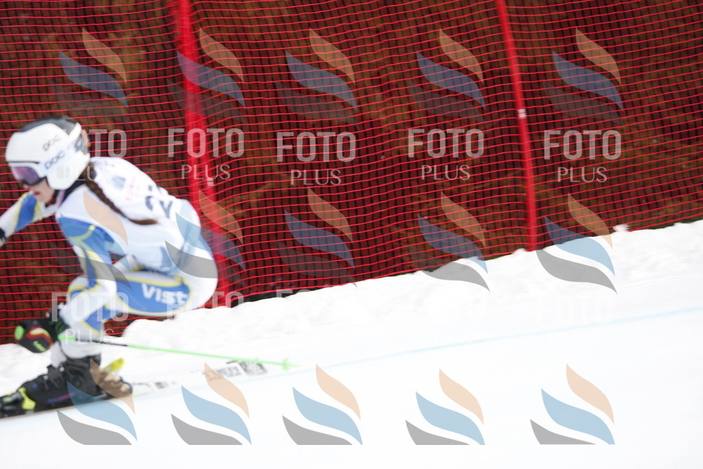 D5016 | holidayphoto