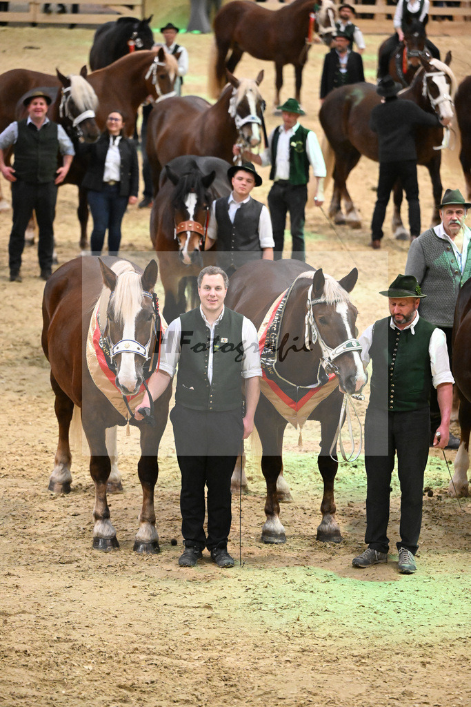 Schauprogramm_Gruppenbild_1261197 | hf-fotografie - Realisiert mit Pictrs.com