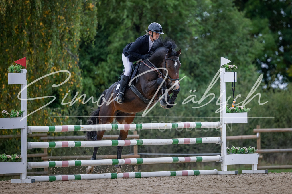 20251012-_3LI3992 | Tierfotografie Pferde, Hunde, Katzen, Haustiere.
Turnierfotografie Reitturniere, Reiten, Springreiten, Dressur in Hanau, dem Main-Kinzig-Kreis und dem Rhein-Main- Gebiet um Frankfurt