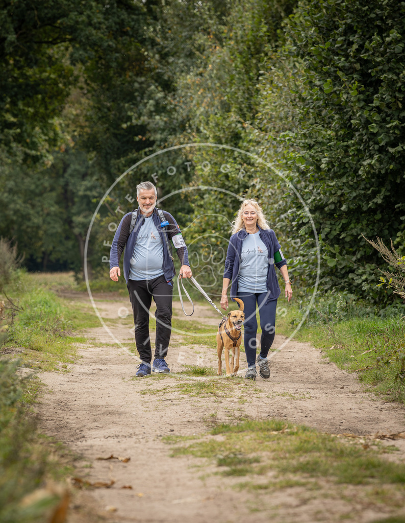 Pfotenfotografie_DV3A7806 | Hundefotografie, Tierfotograf, Pfotenfotografie, Fotoshooting Hund, Hunde Portrait, Hundesport, Hundeportraits, Heideshooting, Hunde, Sportfotograf, Hundefotograf, Turnierhundsport, THS,  - Realisiert mit Pictrs.com