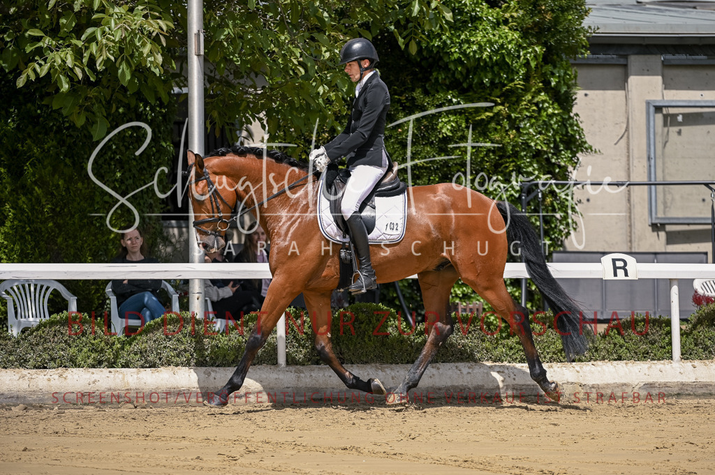 Schugtsche-Aluta25-48.Reitpferfdeprf.-196 | Schugtsche Fotografie - Realisiert mit Pictrs.com