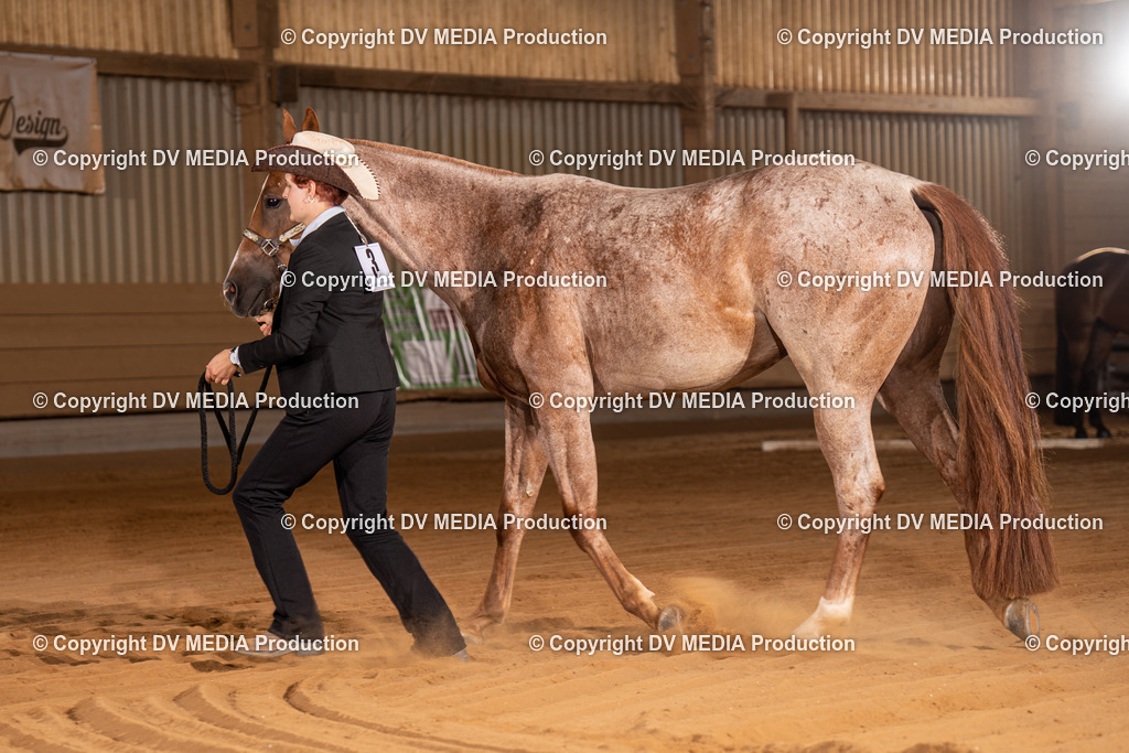 NID00023 | dv-media-shop - Realisiert mit Pictrs.com