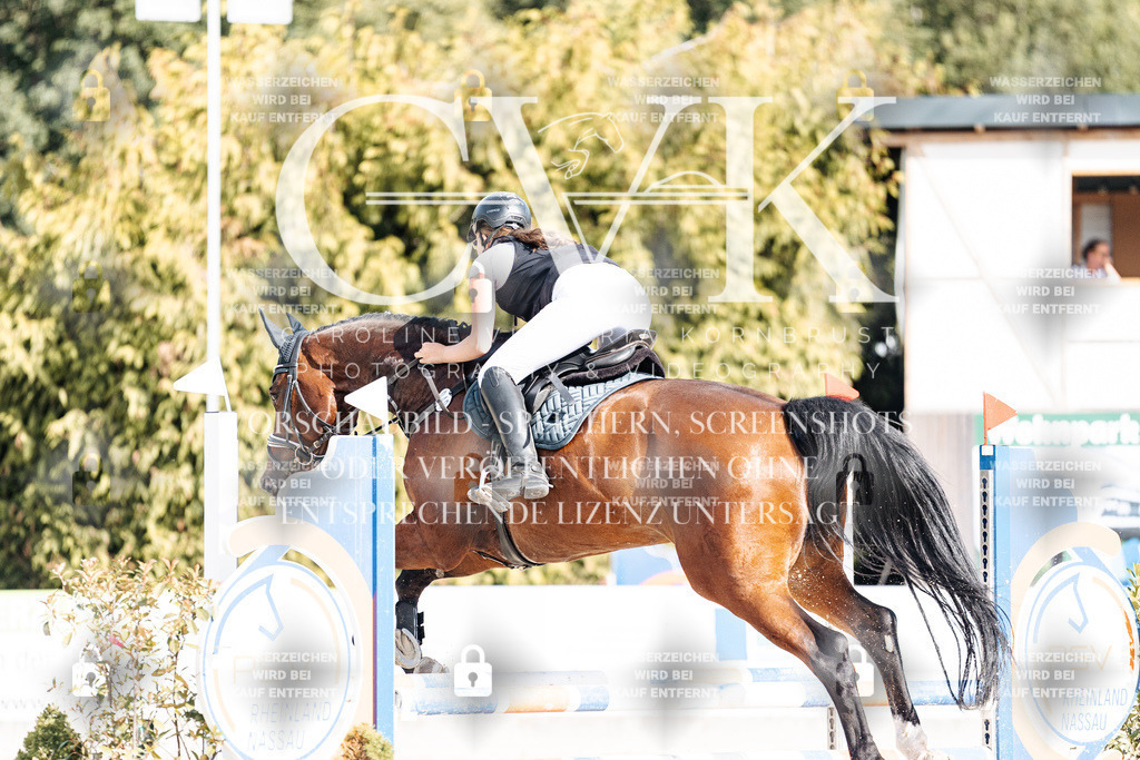 CK909147 | Turnierfotografie Pferdefotografie Trier Rheinland-Pfalz Pferdesport Reitsport Tierfotografie Sportfotografie Pferdevideo Pferdevideografie Equestrianvideography equestrianphotography  - Realisiert mit Pictrs.com