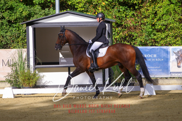 DKP41034 | Turniersportfotografie; Pferdefotografie; Dressurfotografie