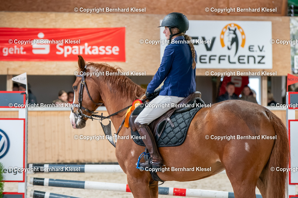 2A906317 | foto-team-bernhard - Realisiert mit Pictrs.com