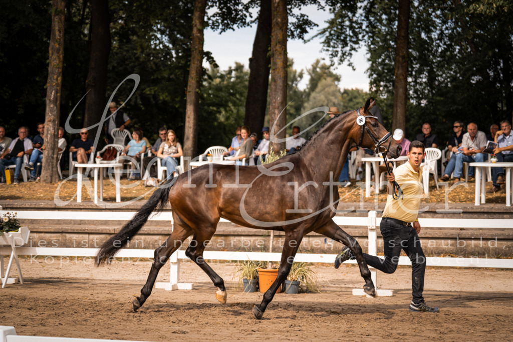 7.Fr00022 | Leoni Ertmer Photography - Realisiert mit Pictrs.com