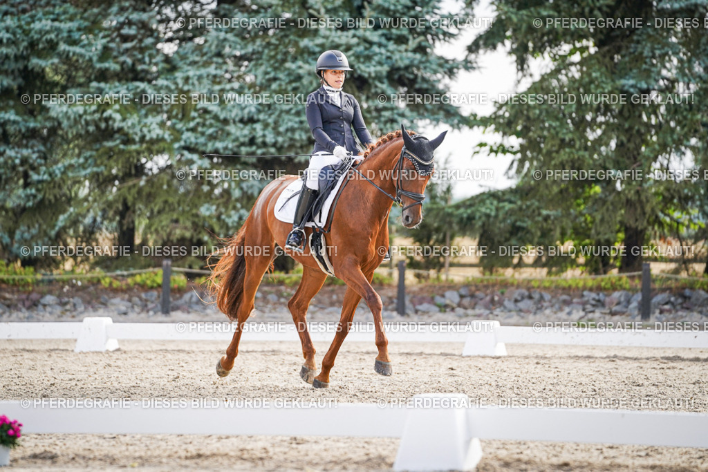 DSC00693 | Pferdegrafie