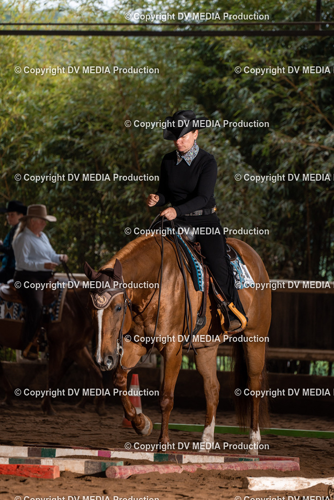 Erbach Tag 3-109 | dv-media-shop - Realisiert mit Pictrs.com