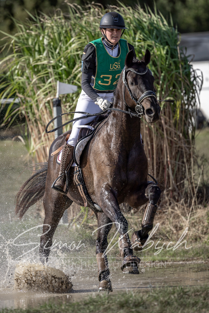 20250907-_3LI3265 | Tierfotografie Pferde, Hunde, Katzen, Haustiere.
Turnierfotografie Reitturniere, Reiten, Springreiten, Dressur in Hanau, dem Main-Kinzig-Kreis und dem Rhein-Main- Gebiet um Frankfurt