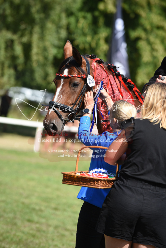 DSC_0457 | Pferde- und Turnierfotografie in Westsachsen. Pferdeportraits, Auftragszeichnungen und intuitive Kunst.