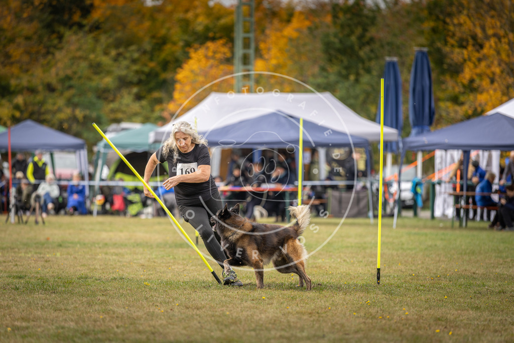 Pfotenfotografie_DV3A5815 | Hundefotografie, Tierfotograf, Pfotenfotografie, Fotoshooting Hund, Hunde Portrait, Hundesport, Hundeportraits, Heideshooting, Hunde, Sportfotograf, Hundefotograf, Turnierhundsport, THS,  - Realisiert mit Pictrs.com