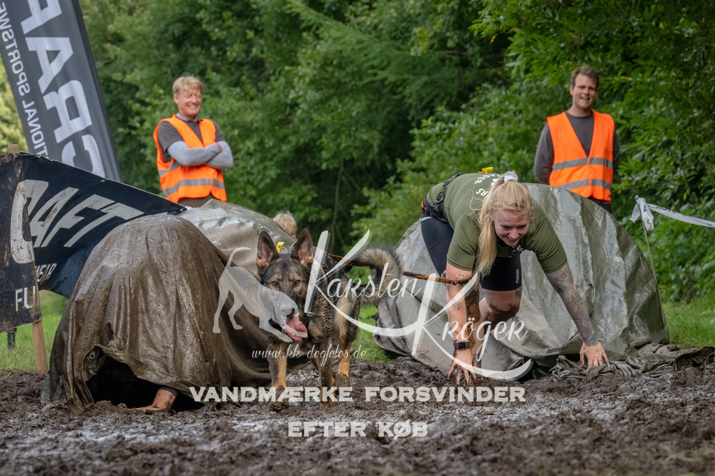 1736_ZZ92909-Bearbeitet | kk-dogfotos