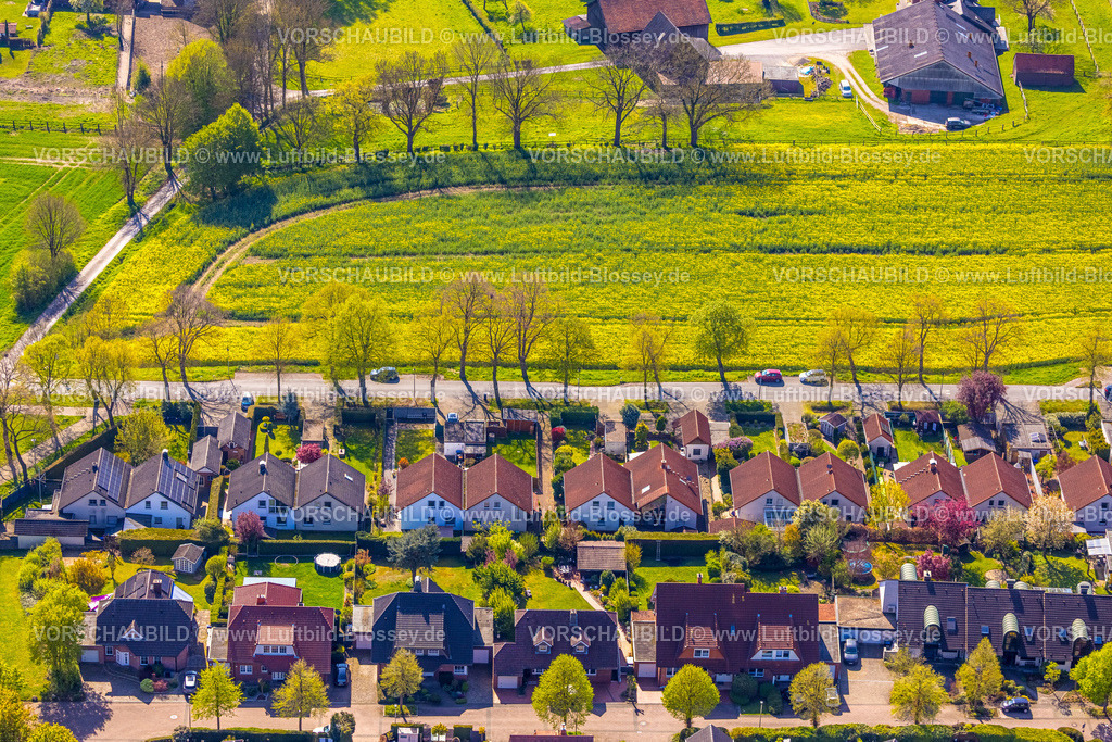 Hamm260400779Bockum-Hoevel | Luftbild, Reihenhäuser Wohnsiedlung Stockumer Straße mit Baumallee, grüne Wiese, Bockum-Hövel, Hamm, Ruhrgebiet, Nordrhein-Westfalen, Deutschland