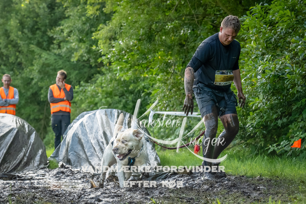 1108_ZZ93436-Bearbeitet | kk-dogfotos