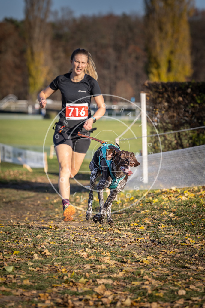 CaniXpix_DV3A1733 | Hundefotografie, Tierfotograf, Pfotenfotografie, Fotoshooting Hund, Hunde Portrait, Hundesport, Hundeportraits, Heideshooting, Hunde, Sportfotograf, Hundefotograf, Turnierhundsport, THS,  - Realisiert mit Pictrs.com