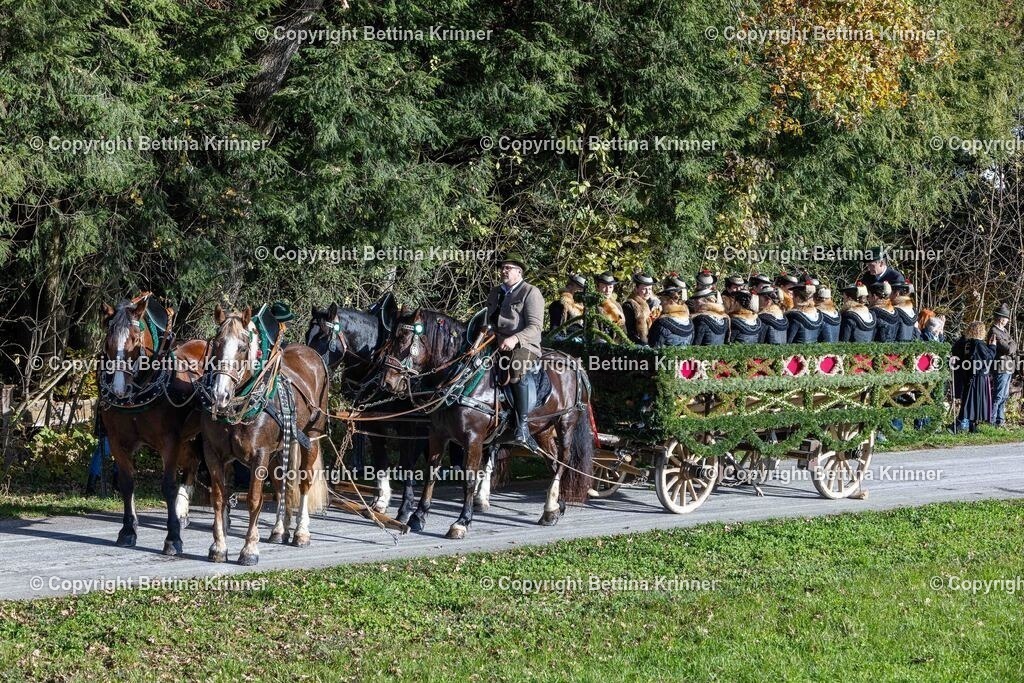LBT24-413 | foto-bettina-krinner - Realisiert mit Pictrs.com