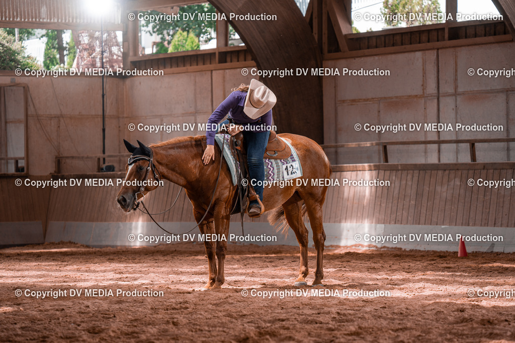 NE100493 | dv-media-shop - Realisiert mit Pictrs.com