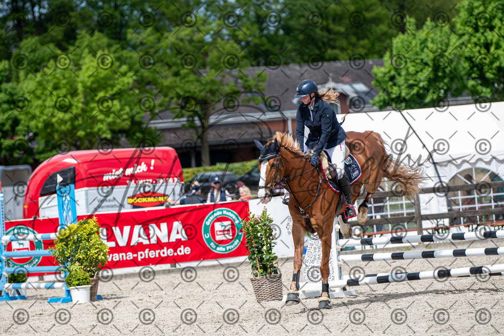 KPT_5801 | andre_photographic