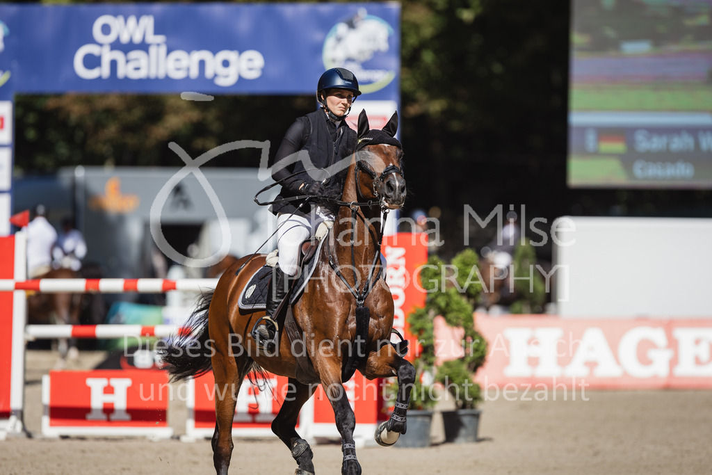 230908_OWLCh_LargeTour-452 | Deine schönsten Turniermomente als professionelle Fotos! Entdecke hochwertige Pferdesport-Fotografie im Online-Shop. Jetzt Fotos finden & bestellen!