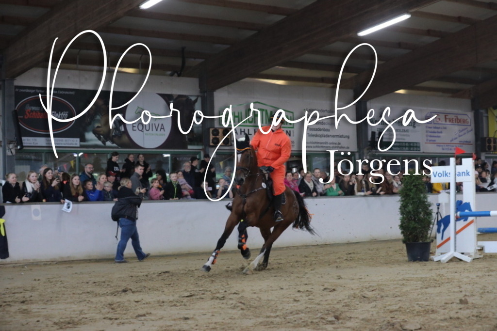 IMG_1974 | photographesa-joergens - Realisiert mit Pictrs.com