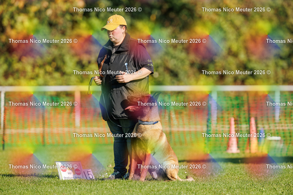 Thomas_Nico_Meuter(C)_04. Oktober 2026_223A1490 | Bild von Thomas Nico Meuter - Realisiert mit Pictrs.com