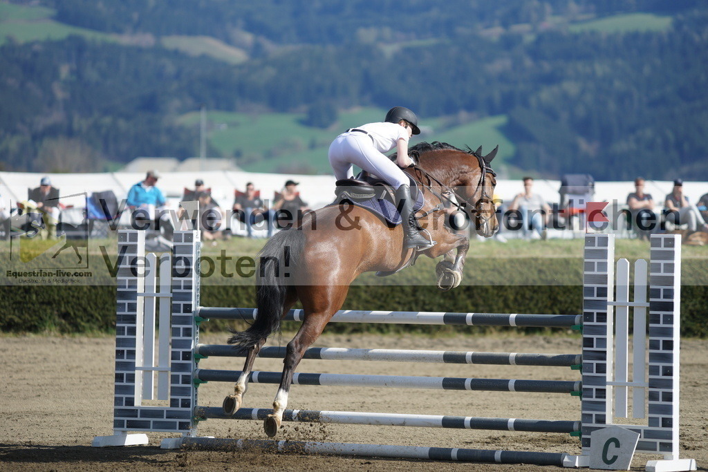 DSC03269 | equestrian-live-com