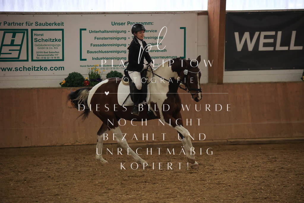 IMGT0721 | pl-fotografie