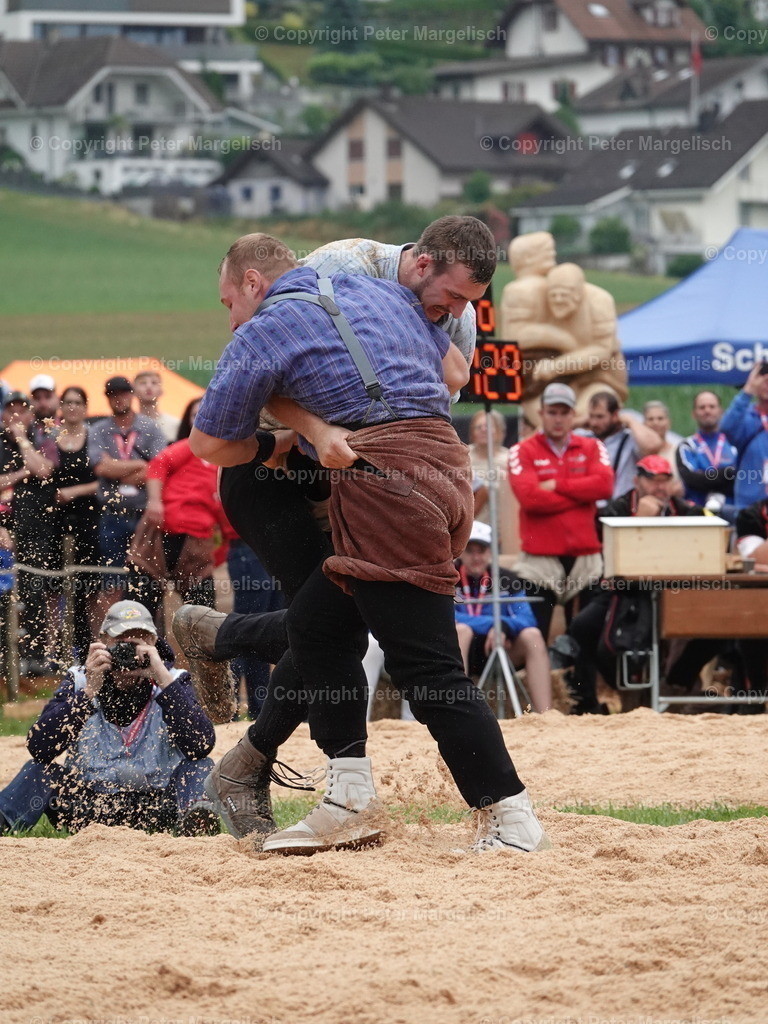 DSC04844 | Schwingen - Realisiert mit Pictrs.com