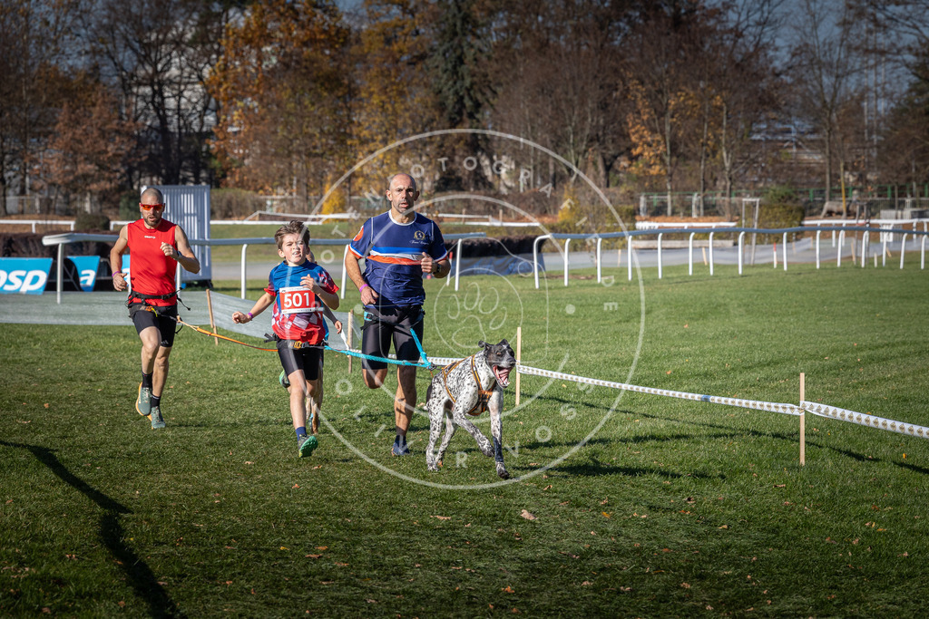 CaniXpix_0L8A6542 | Hundefotografie, Tierfotograf, Pfotenfotografie, Fotoshooting Hund, Hunde Portrait, Hundesport, Hundeportraits, Heideshooting, Hunde, Sportfotograf, Hundefotograf, Turnierhundsport, THS,  - Realisiert mit Pictrs.com