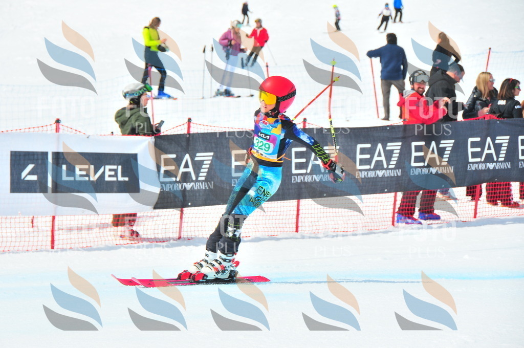 DSC_3022 | holidayphoto