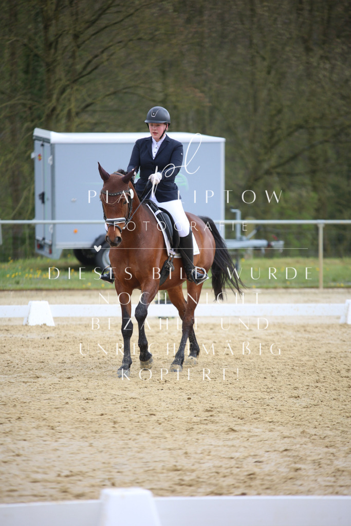 IMGT5321 | pl-fotografie