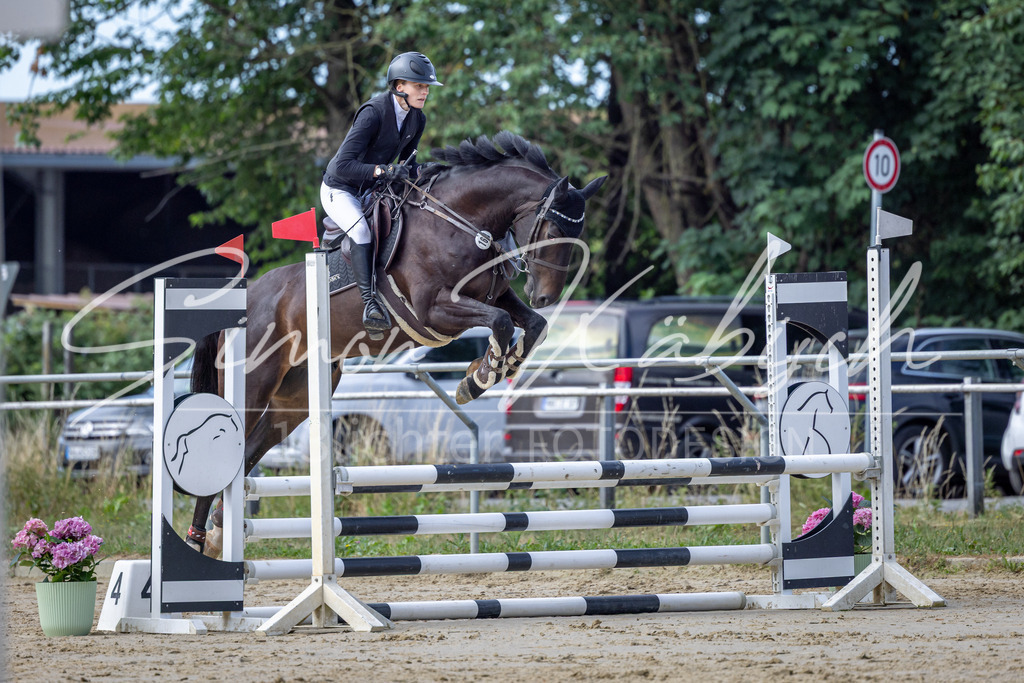 20260704-_3LI6391 | Tierfotografie Pferde, Hunde, Katzen, Haustiere.
Turnierfotografie Reitturniere, Reiten, Springreiten, Dressur in Hanau, dem Main-Kinzig-Kreis und dem Rhein-Main- Gebiet um Frankfurt