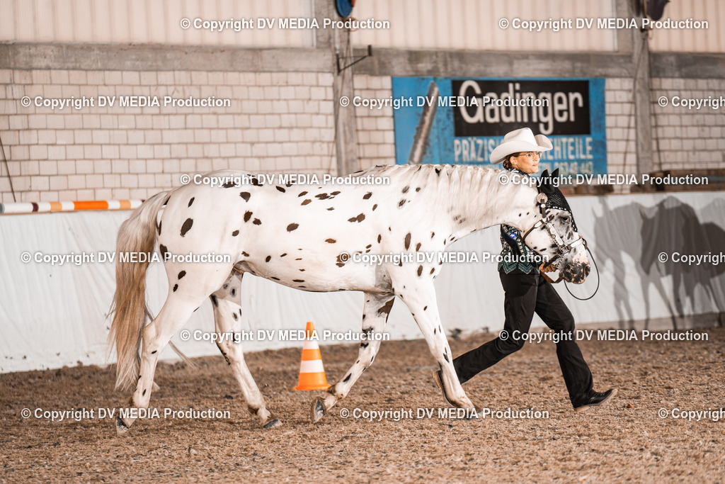 ZH200130 | dv-media-shop - Realisiert mit Pictrs.com