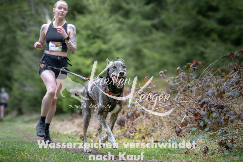1304_ZZ93551 | kk-dogfotos