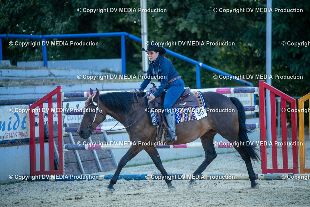 EWP_7183 | dv-media-shop - Realisiert mit Pictrs.com