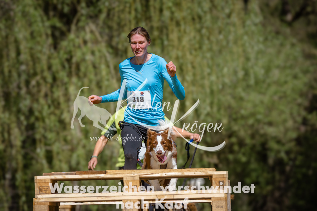1210_ZZ90802 | kk-dogfotos