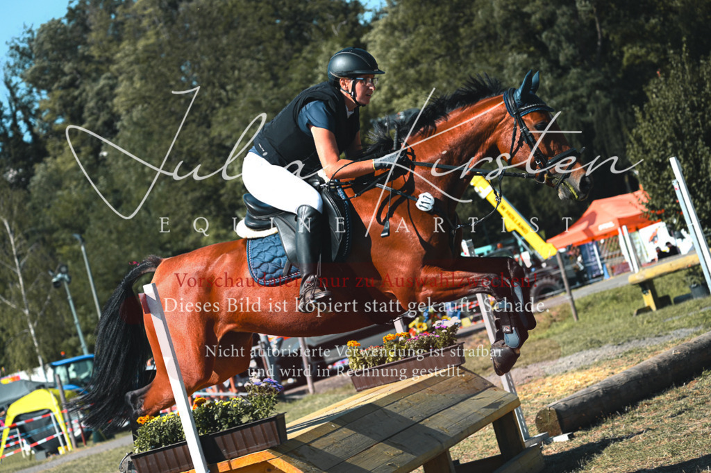 DSC_7869 | Pferde- und Turnierfotografie in Westsachsen. Pferdeportraits, Auftragszeichnungen und intuitive Kunst.