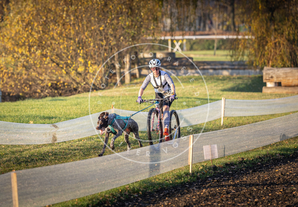 CaniXpix_DV3A0024 | Hundefotografie, Tierfotograf, Pfotenfotografie, Fotoshooting Hund, Hunde Portrait, Hundesport, Hundeportraits, Heideshooting, Hunde, Sportfotograf, Hundefotograf, Turnierhundsport, THS,  - Realisiert mit Pictrs.com