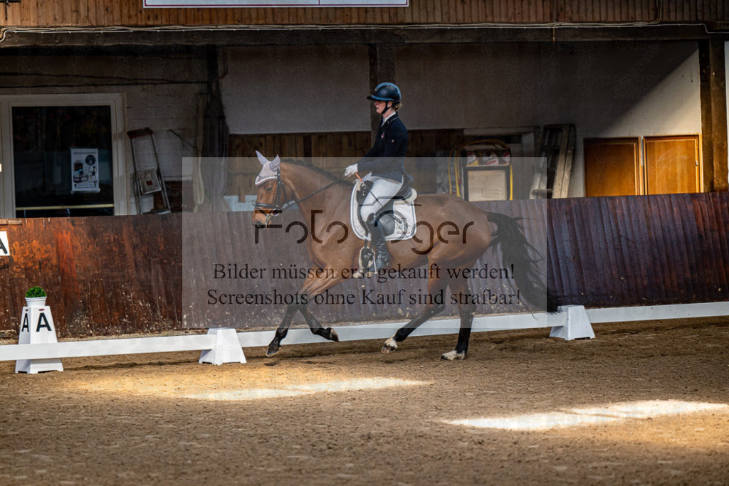 20240308-DOS_4071 | Entdecke hochwertige Reitturnierfotos von Foto Oger. Professionell, emotional und authentisch – jetzt Lieblingsmomente im Shop bestellen.Deutschlandweite Turnierfotografie. - Realisiert mit Pictrs.com